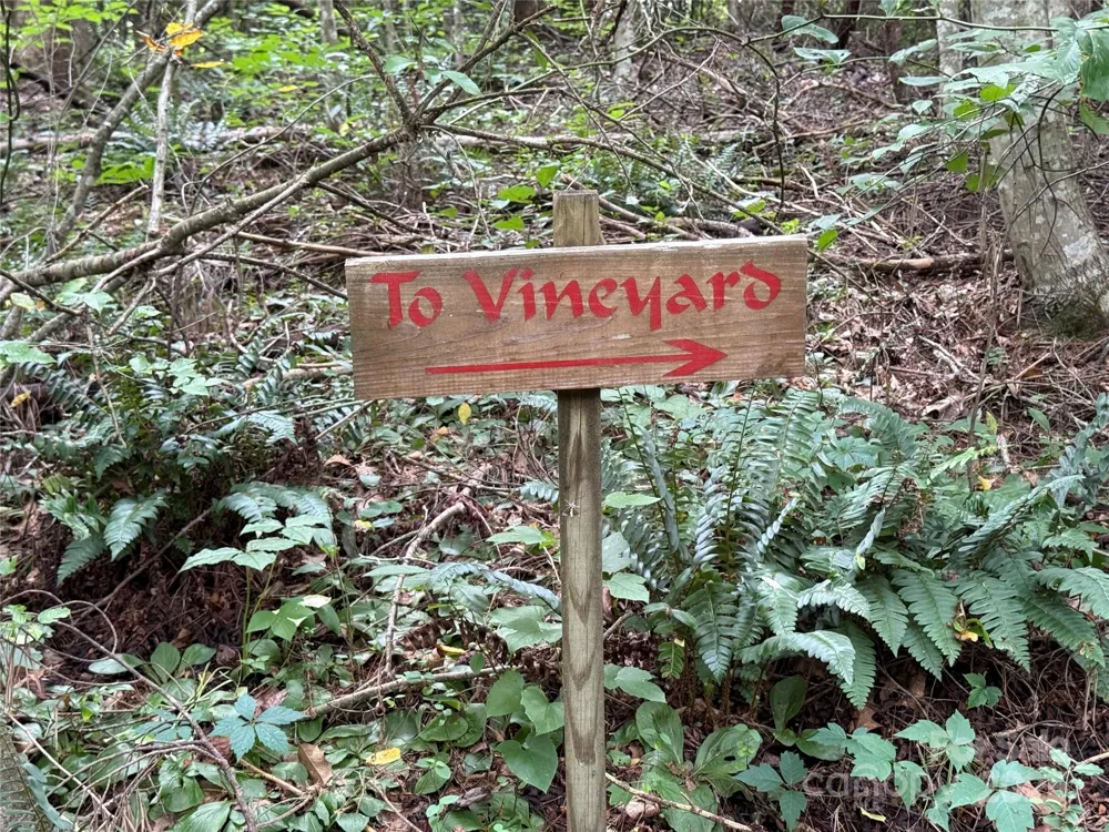 Lot 18 Zinzendorf Circle #18 Moravian Falls, NC 28654