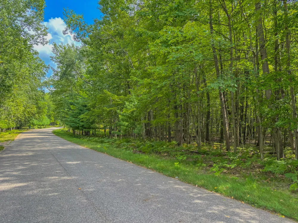 9385 Clubhouse Drive W Canadian Lakes, MI 49346