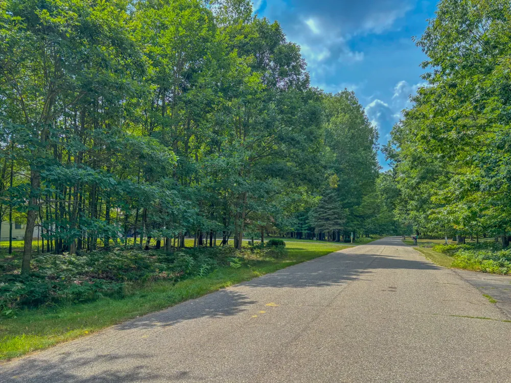9385 Clubhouse Drive W Canadian Lakes, MI 49346