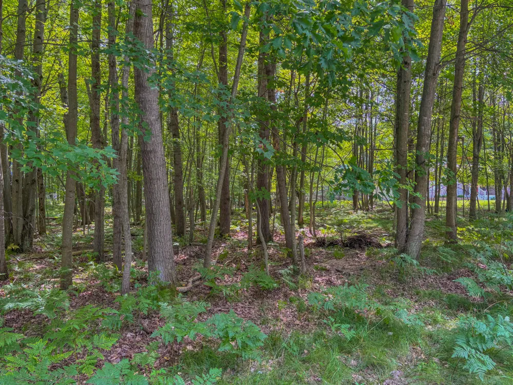 9385 Clubhouse Drive W Canadian Lakes, MI 49346