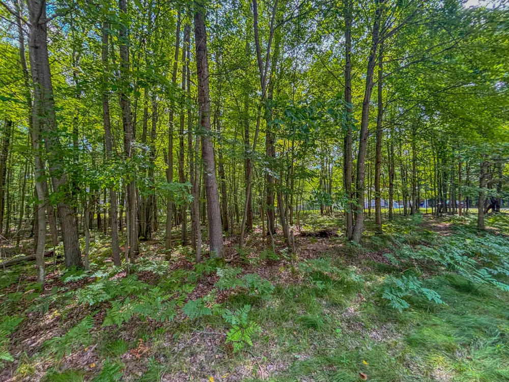 9385 Clubhouse Drive W Canadian Lakes, MI 49346