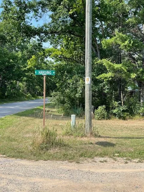 1678 Harding Avenue Baldwin, MI 49304
