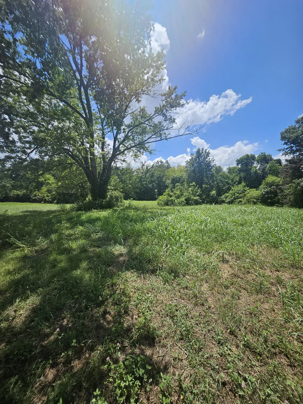 264 Joe B Jackson Pkwy Murfreesboro, TN 37127