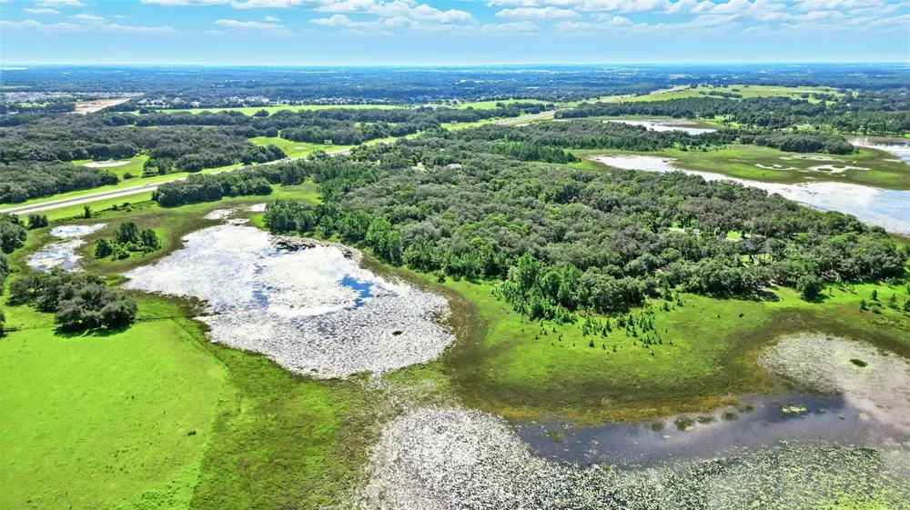 3155 BRIGHT LAKE CIRCLE Groveland, FL 34736