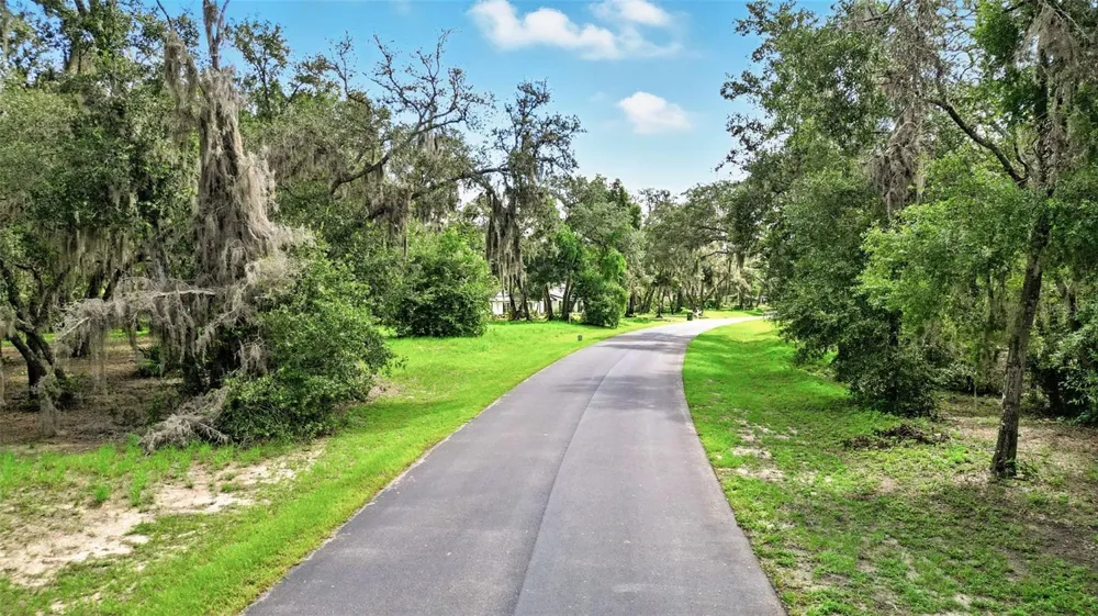 3155 BRIGHT LAKE CIRCLE Groveland, FL 34736