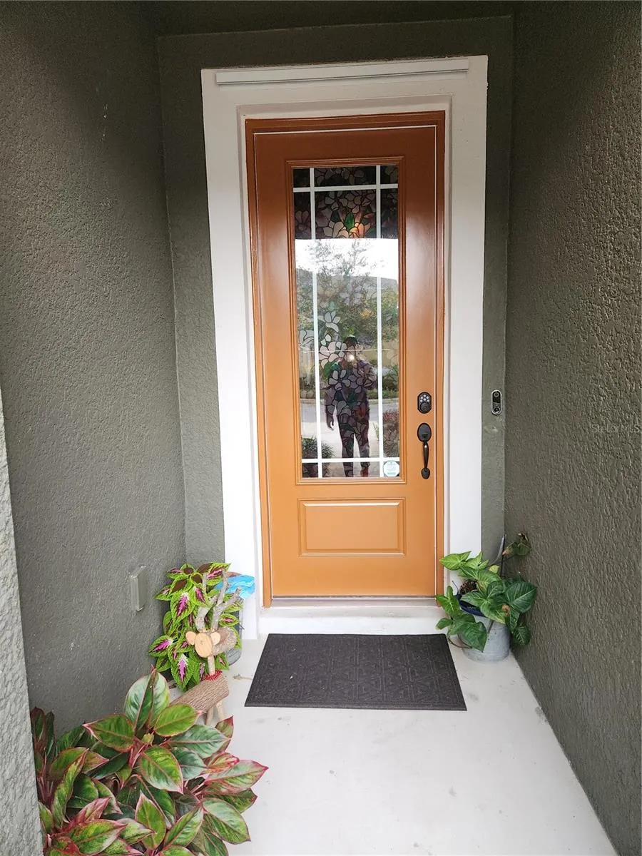 5508 VIOLA LEE WAY Lutz, FL 33558