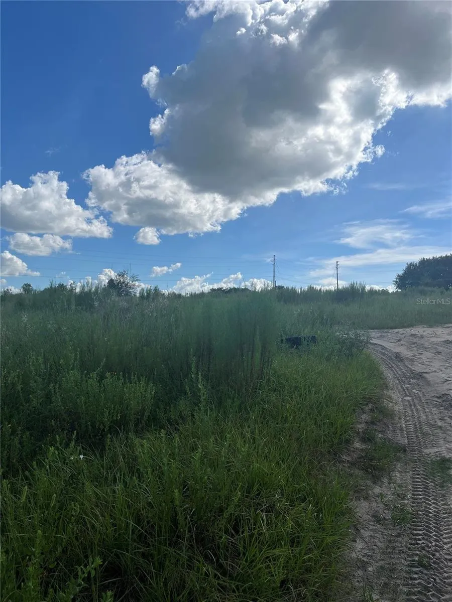 W KELLY PARK ROAD Apopka, FL 32712