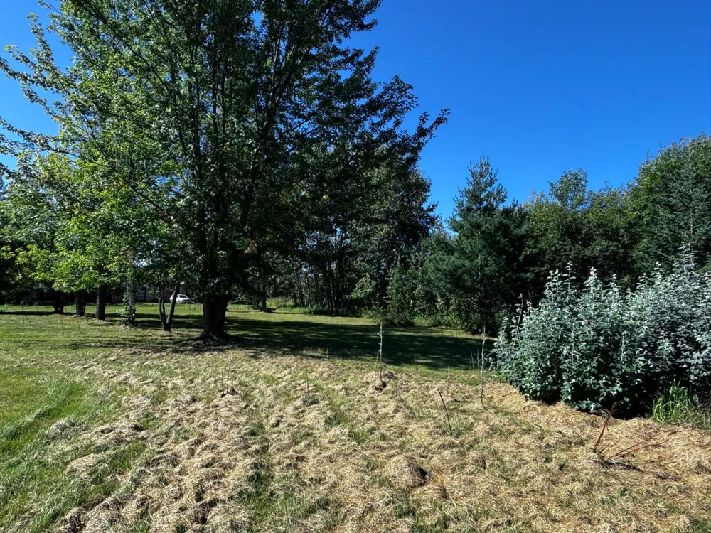 3905 Highway 11 International Falls, MN 56649