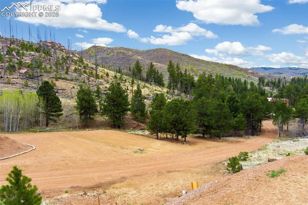 13990 S Highway 67 Woodland Park, CO 80863