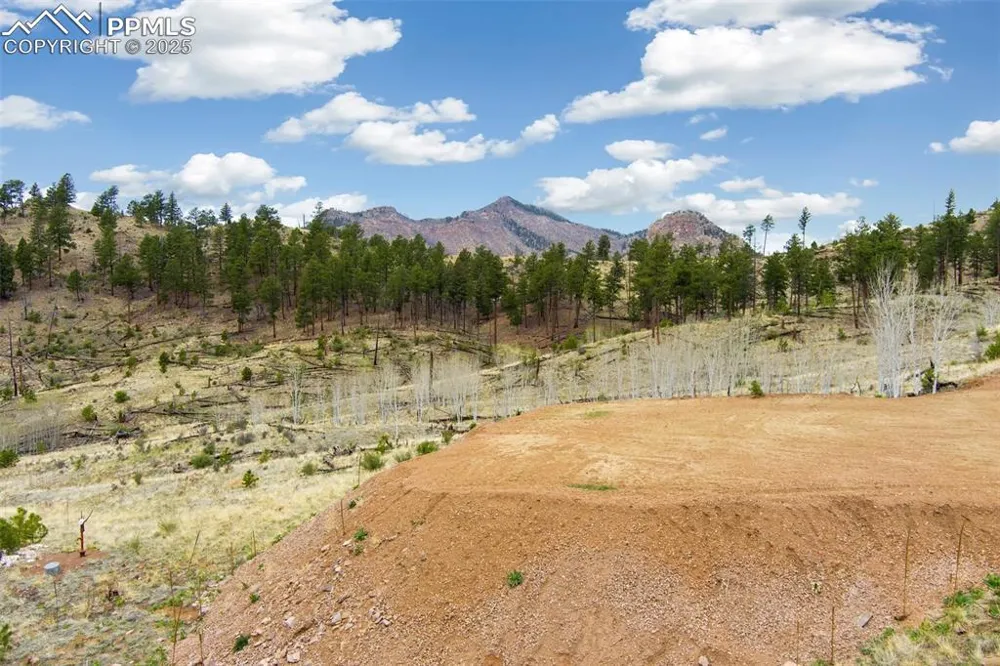 13990 S Highway 67 Woodland Park, CO 80863