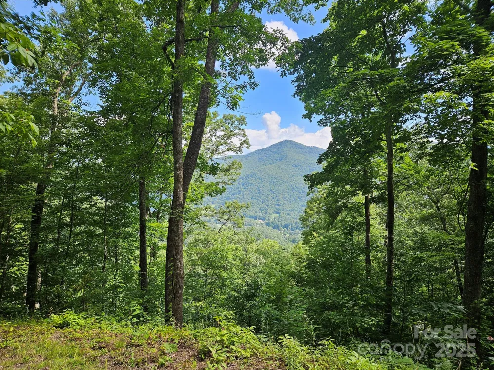 000 Big Boulder Ridge #9 Maggie Valley, NC 28751
