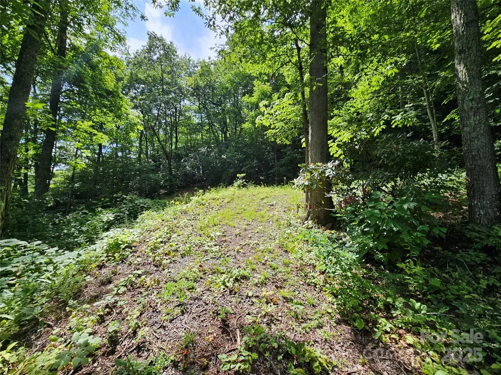 000 Big Boulder Ridge #9 Maggie Valley, NC 28751