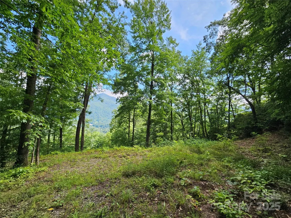 000 Big Boulder Ridge #9 Maggie Valley, NC 28751