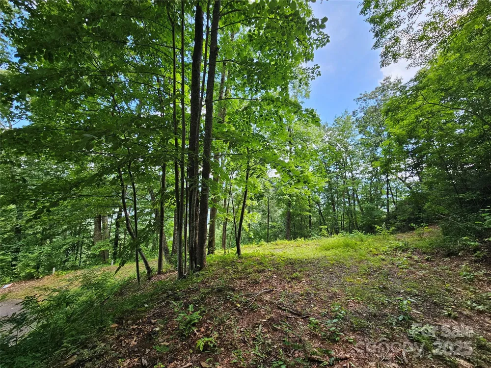 000 Big Boulder Ridge #9 Maggie Valley, NC 28751