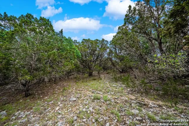 195 & 200 Countless Views Dr. Kerrville, TX 78028