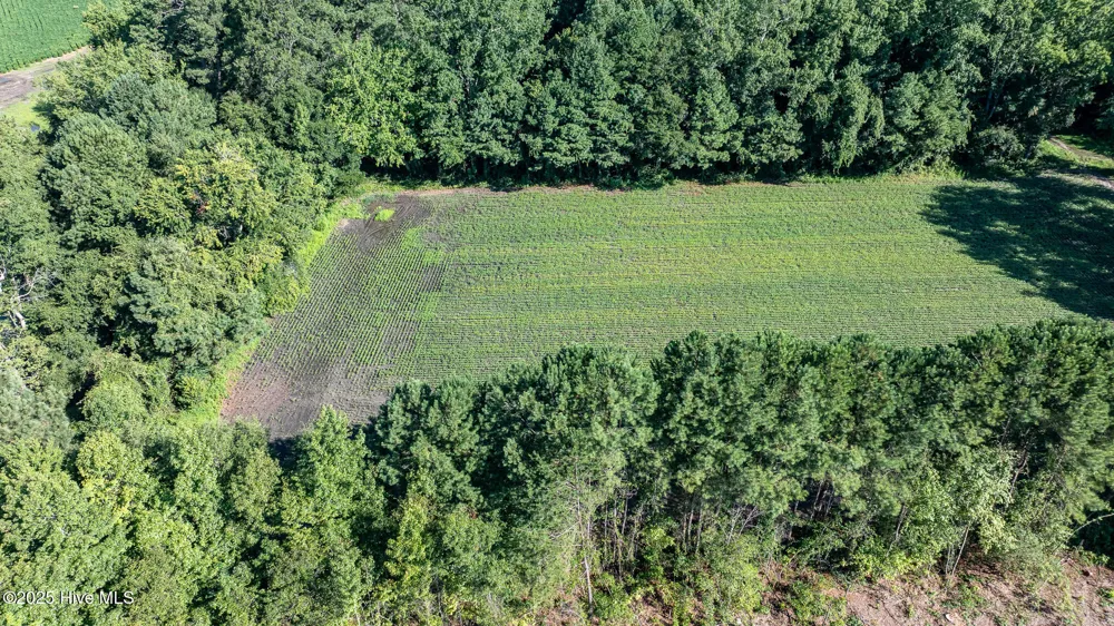 10455 Us Hwy 701 Highway Newton Grove, NC 28366