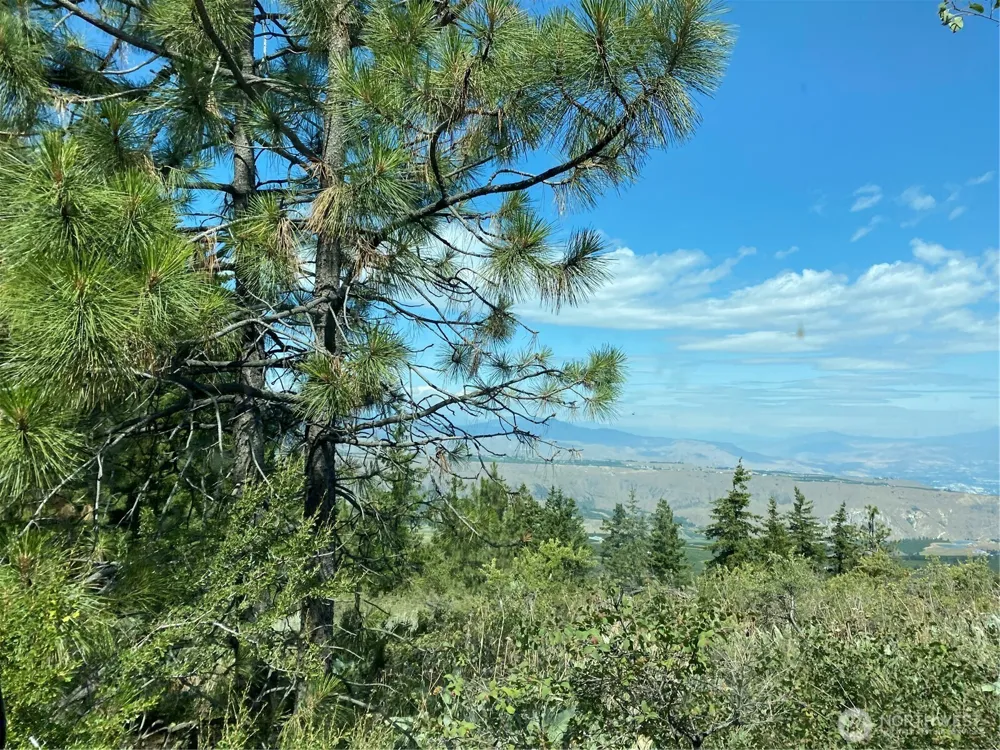 0 Big Springs Ranch Road Malaga, WA 98828