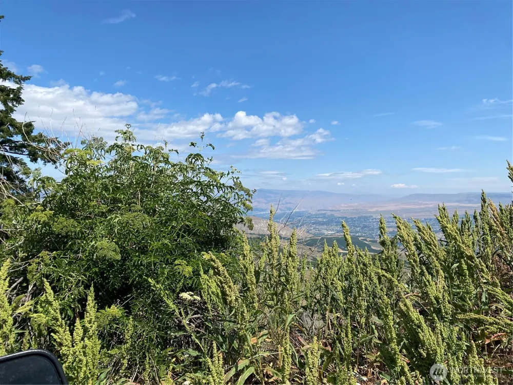 0 Big Springs Ranch Road Malaga, WA 98828