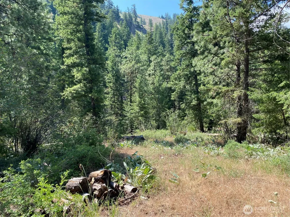 0 Big Springs Ranch Road Malaga, WA 98828