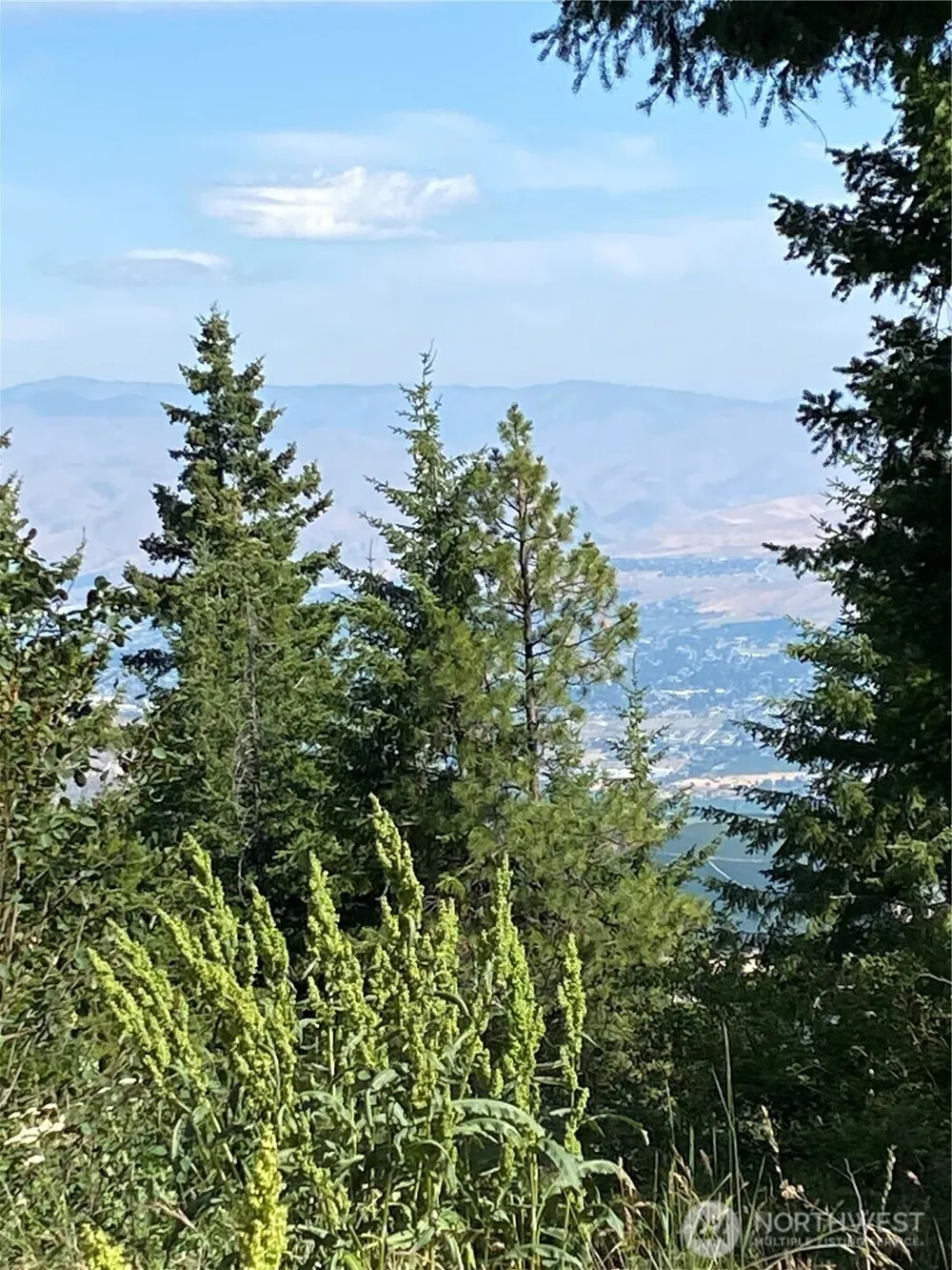 0 Big Springs Ranch Road Malaga, WA 98828