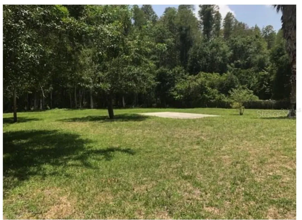 14969 OGDEN LOOP Odessa, FL 33556