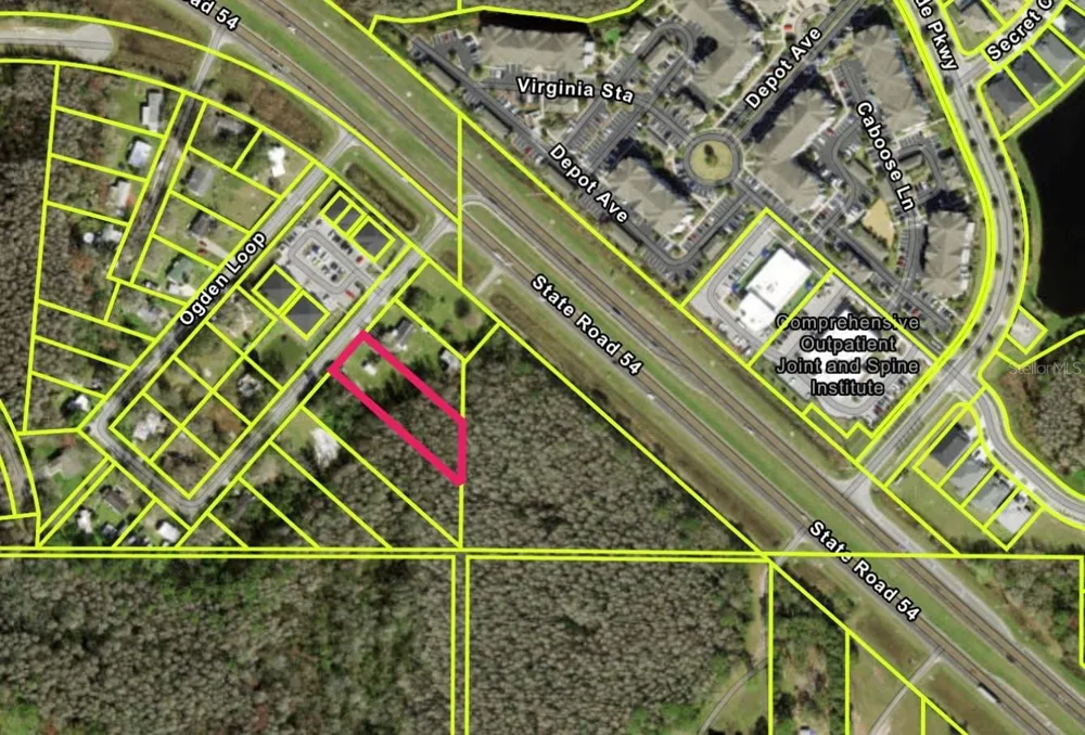 14969 OGDEN LOOP Odessa, FL 33556