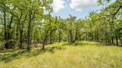 418 County Road 405