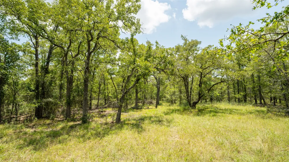 418 County Road 405 Buckholts, TX 76518