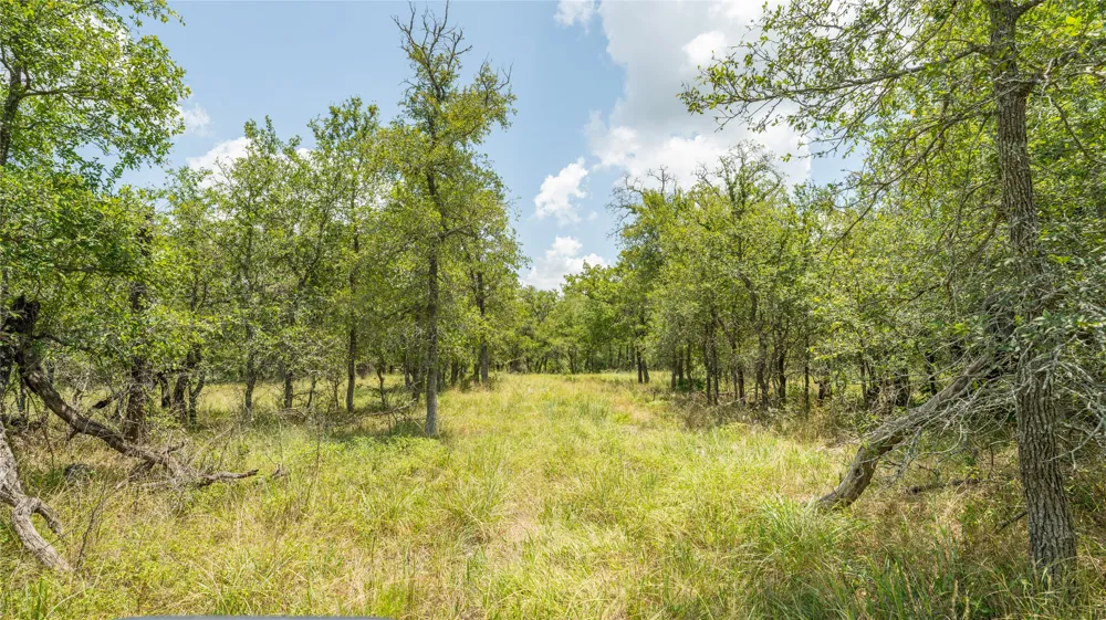 418 County Road 405 Buckholts, TX 76518