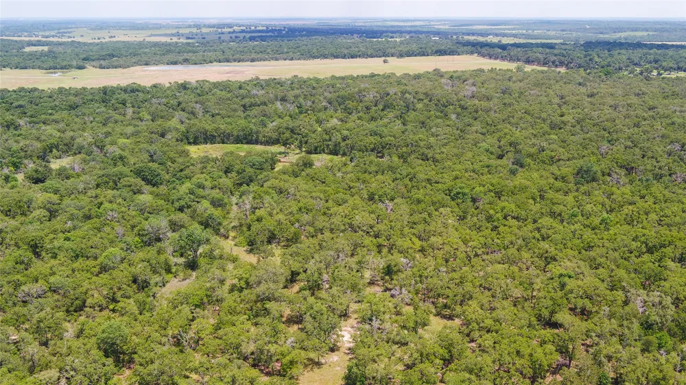 418 County Road 405 Buckholts, TX 76518