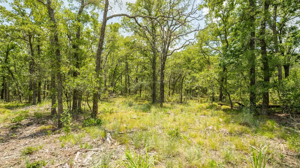 418 County Road 405 Buckholts, TX 76518