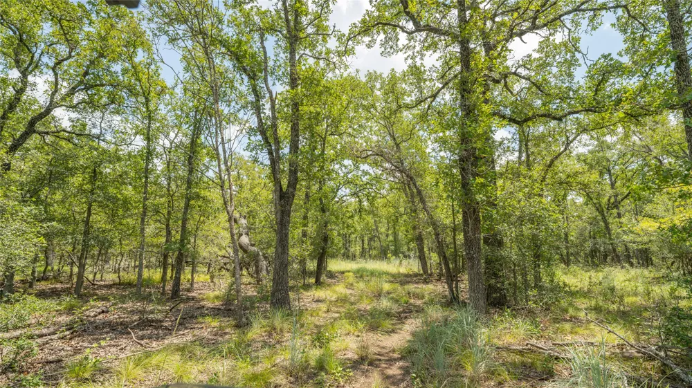 418 County Road 405 Buckholts, TX 76518
