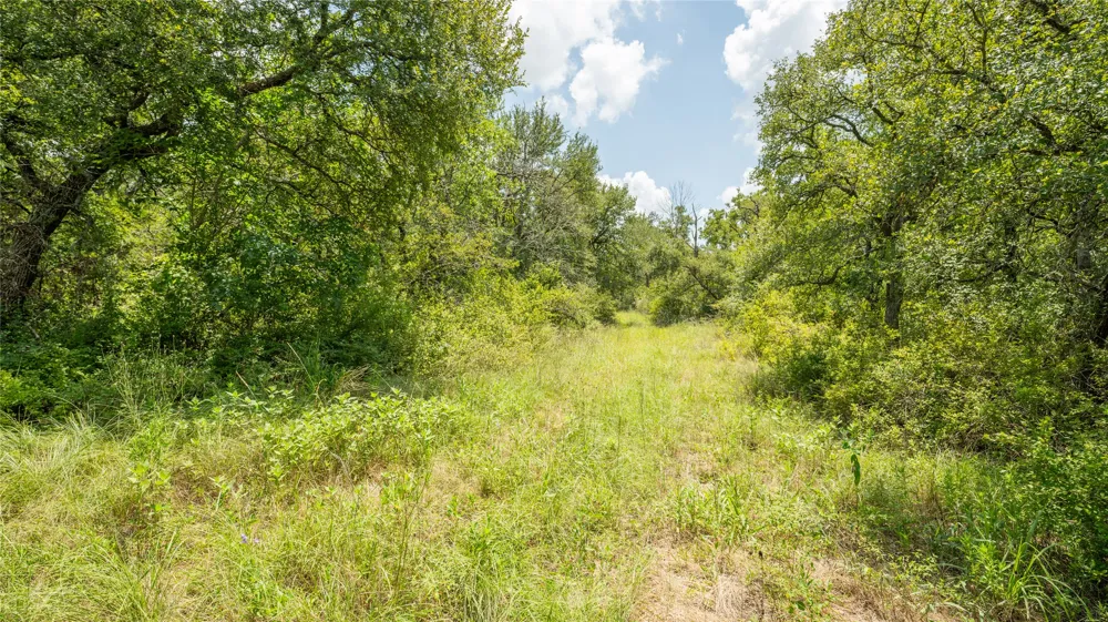 418 County Road 405 Buckholts, TX 76518