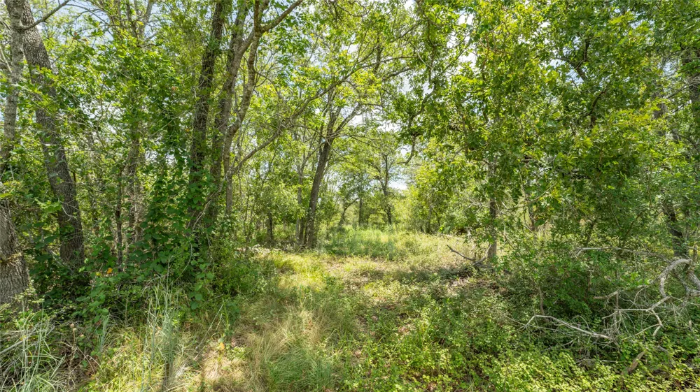 418 County Road 405 Buckholts, TX 76518