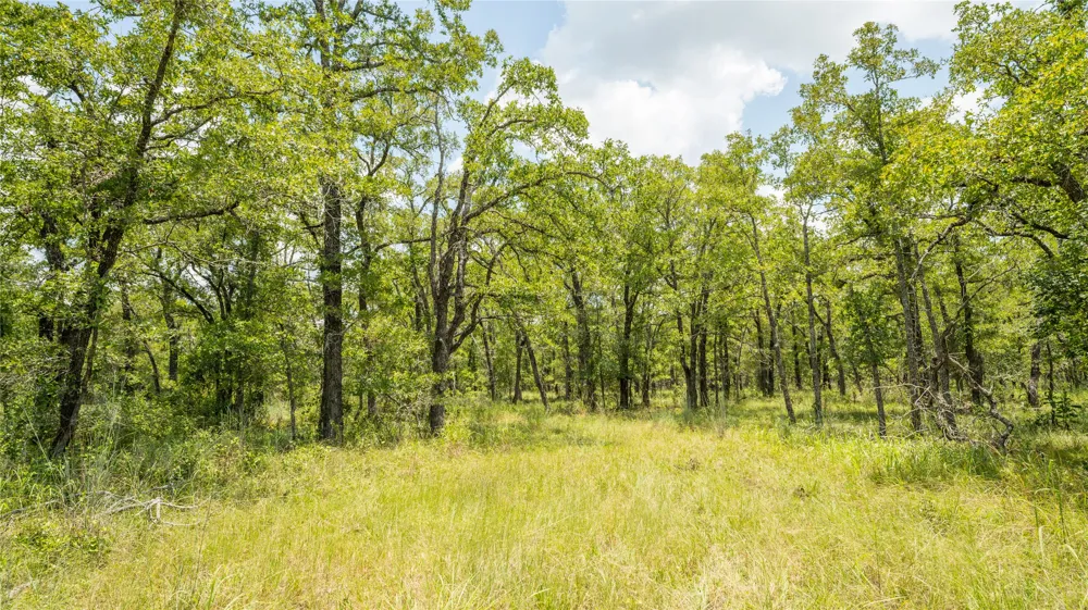 418 County Road 405 Buckholts, TX 76518