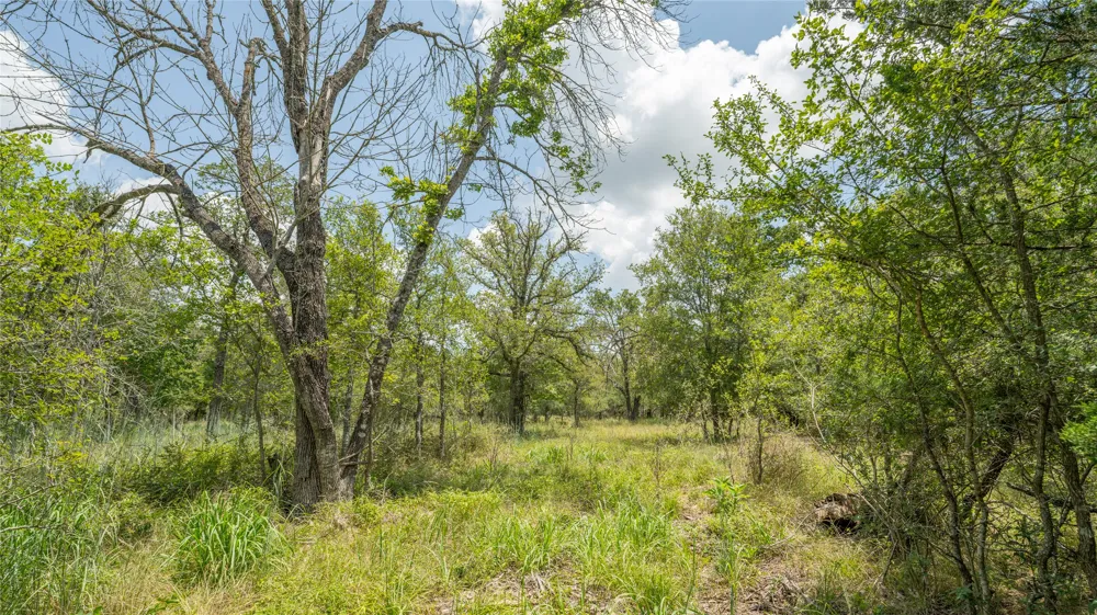 418 County Road 405 Buckholts, TX 76518
