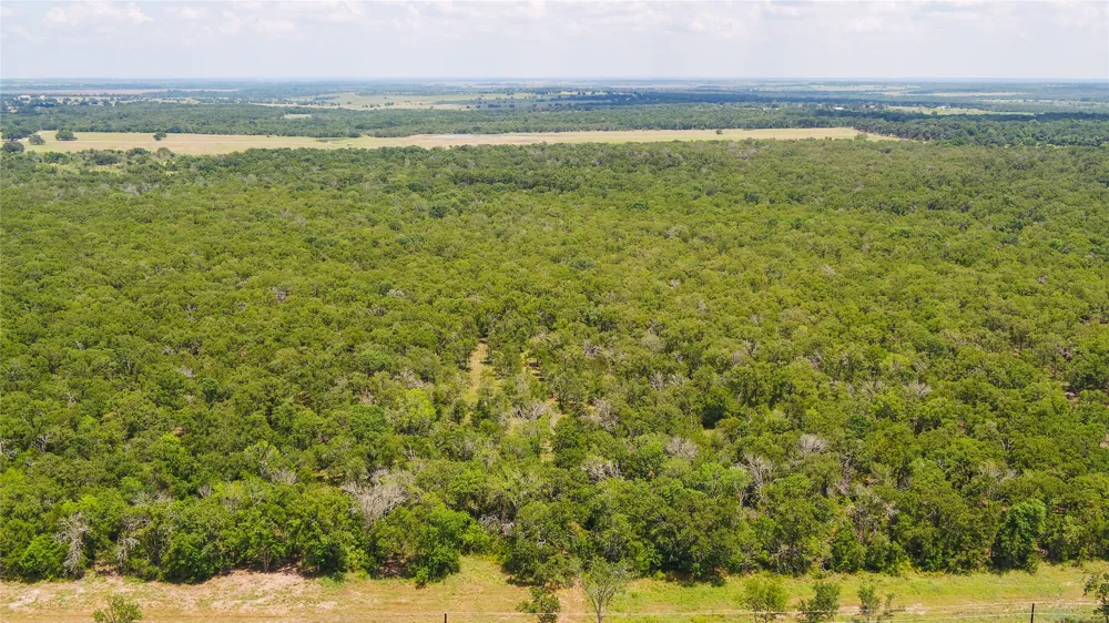 418 County Road 405 Buckholts, TX 76518