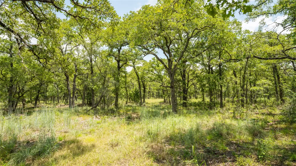 418 County Road 405 Buckholts, TX 76518