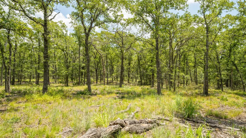 418 County Road 405 Buckholts, TX 76518