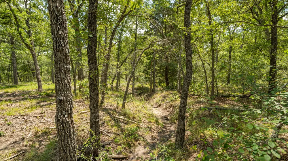 418 County Road 405 Buckholts, TX 76518