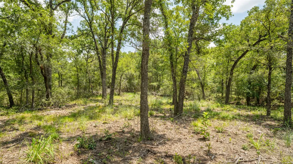 418 County Road 405 Buckholts, TX 76518