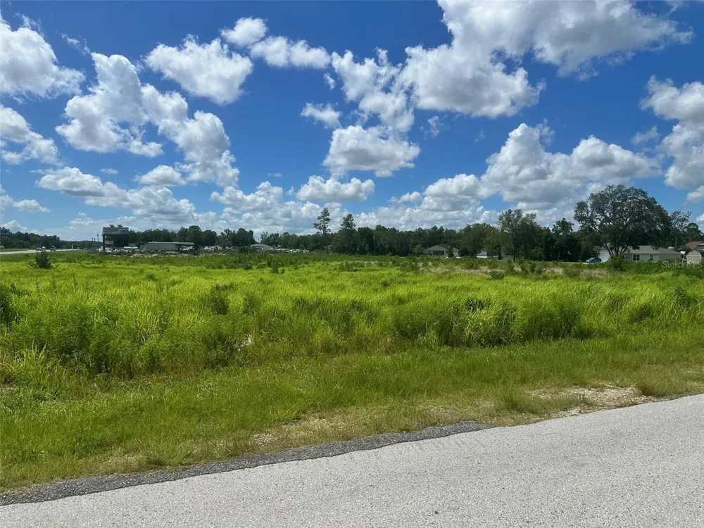 0 HWY 441 Summerfield, FL 34492