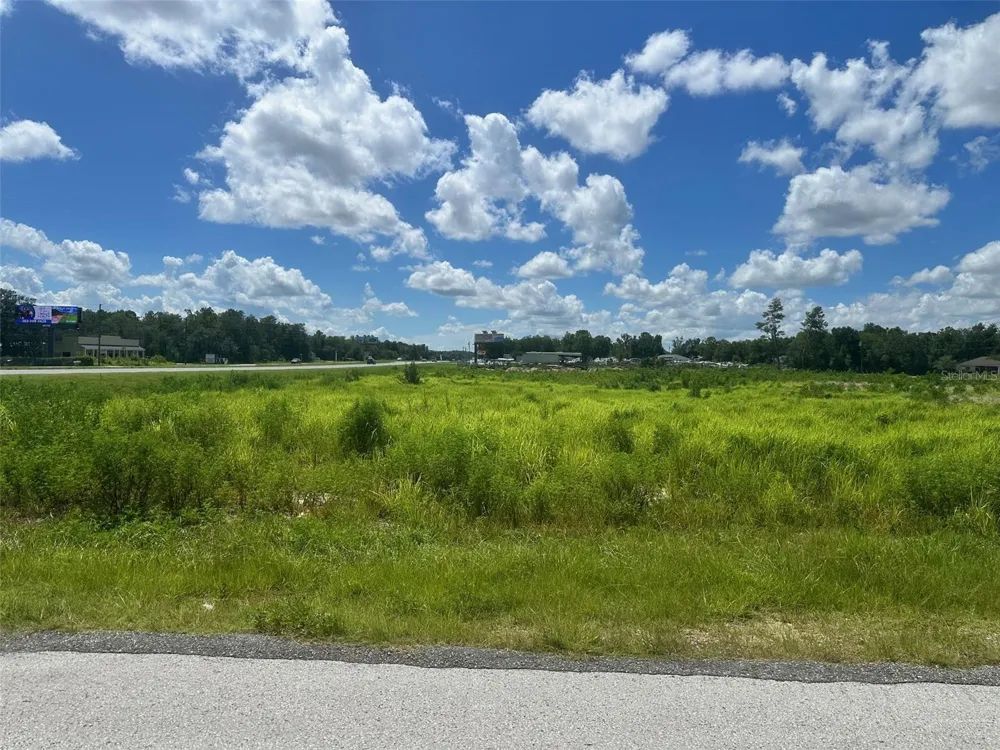 0 HWY 441 Summerfield, FL 34492
