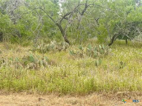 14 Wisteria Lane