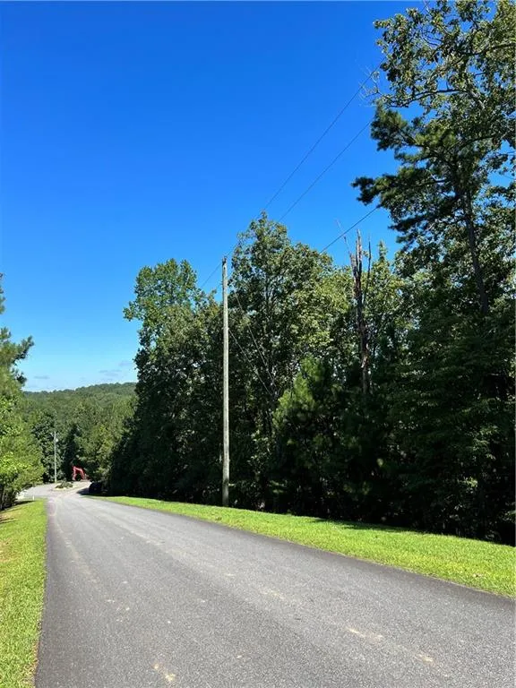 16 Hawks Branch Lane White, GA 30184