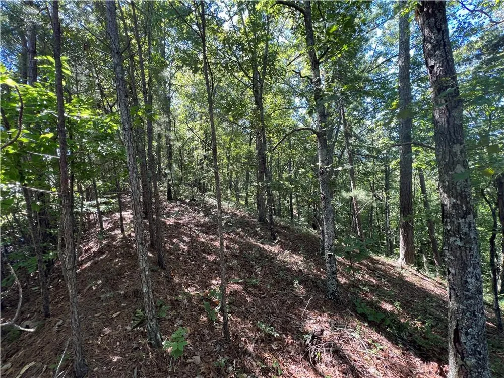 16 Hawks Branch Lane White, GA 30184