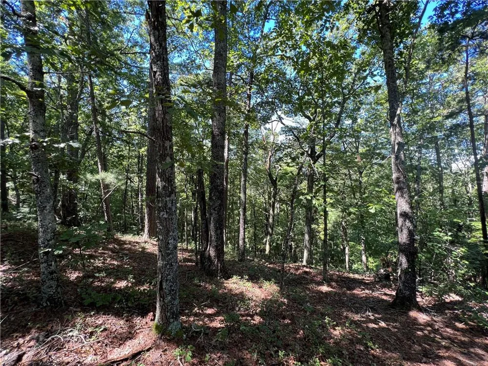 16 Hawks Branch Lane White, GA 30184