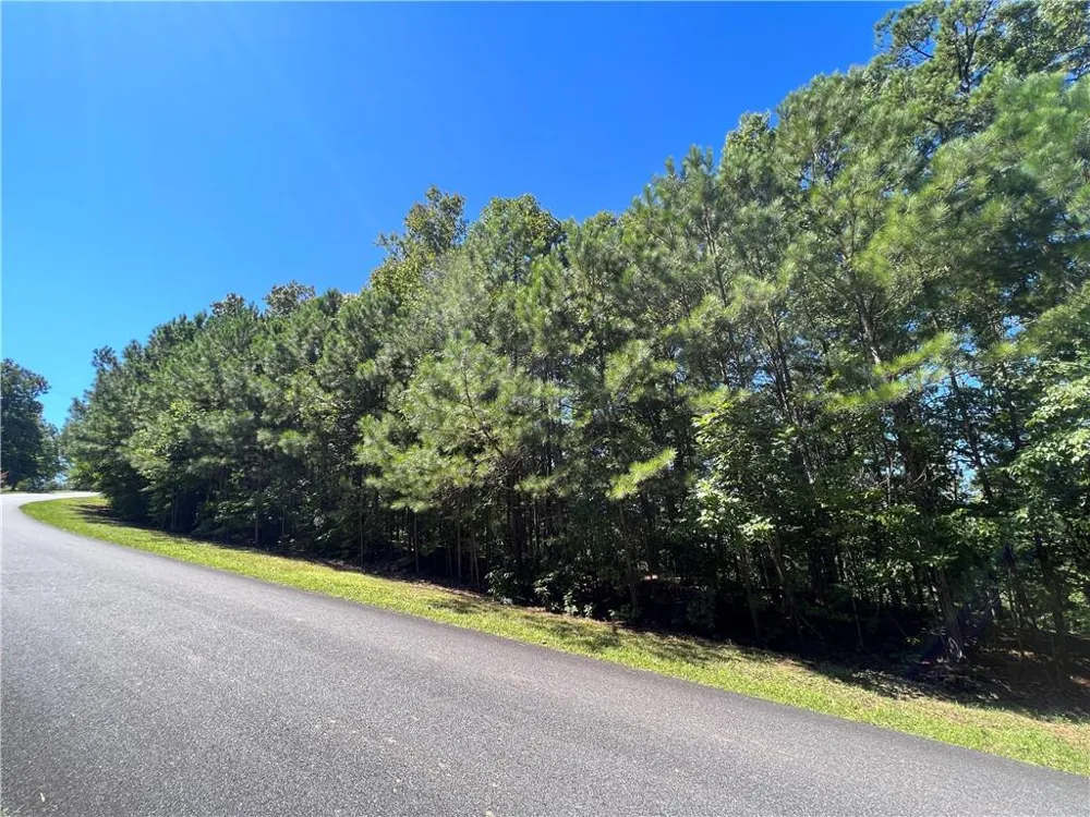 16 Hawks Branch Lane White, GA 30184