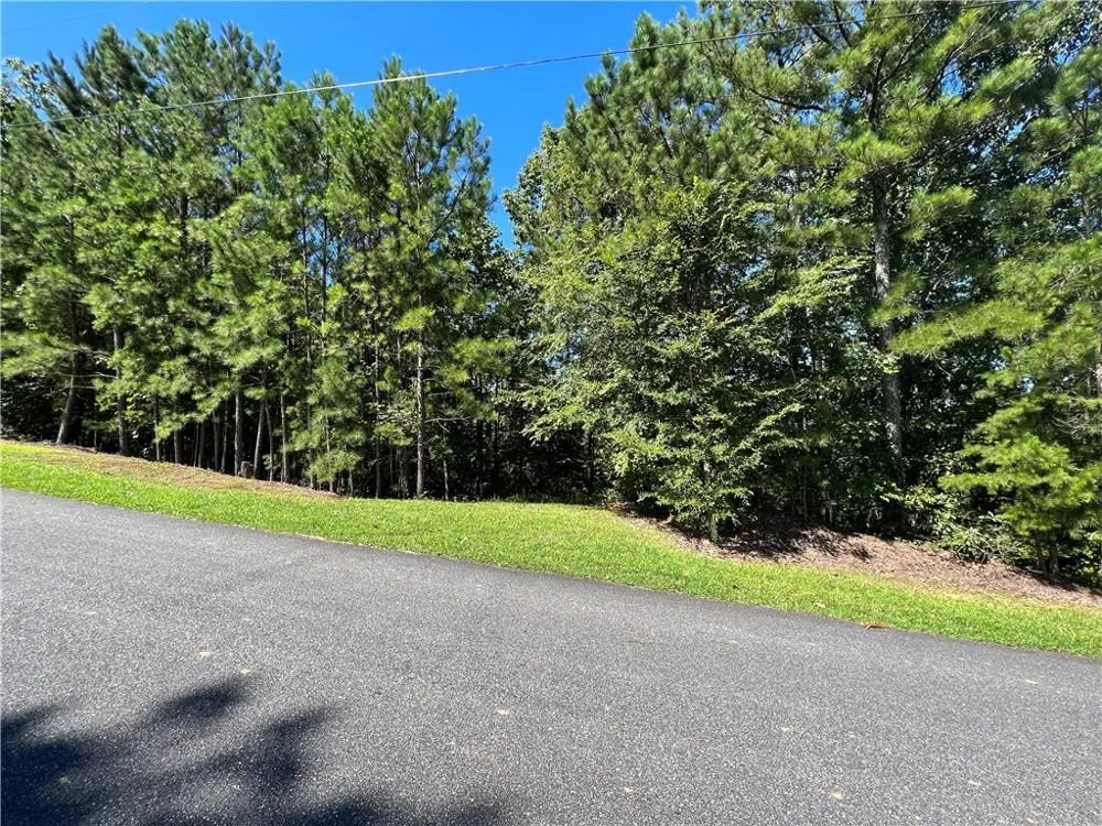 16 Hawks Branch Lane White, GA 30184