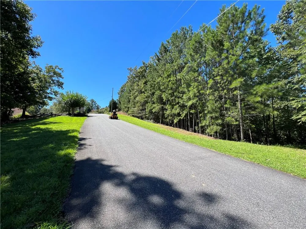 16 Hawks Branch Lane White, GA 30184